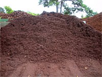 Mulch and Soils