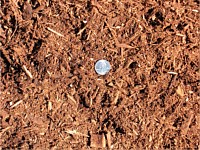 Mulch and Soils